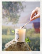 French luxury candle scented